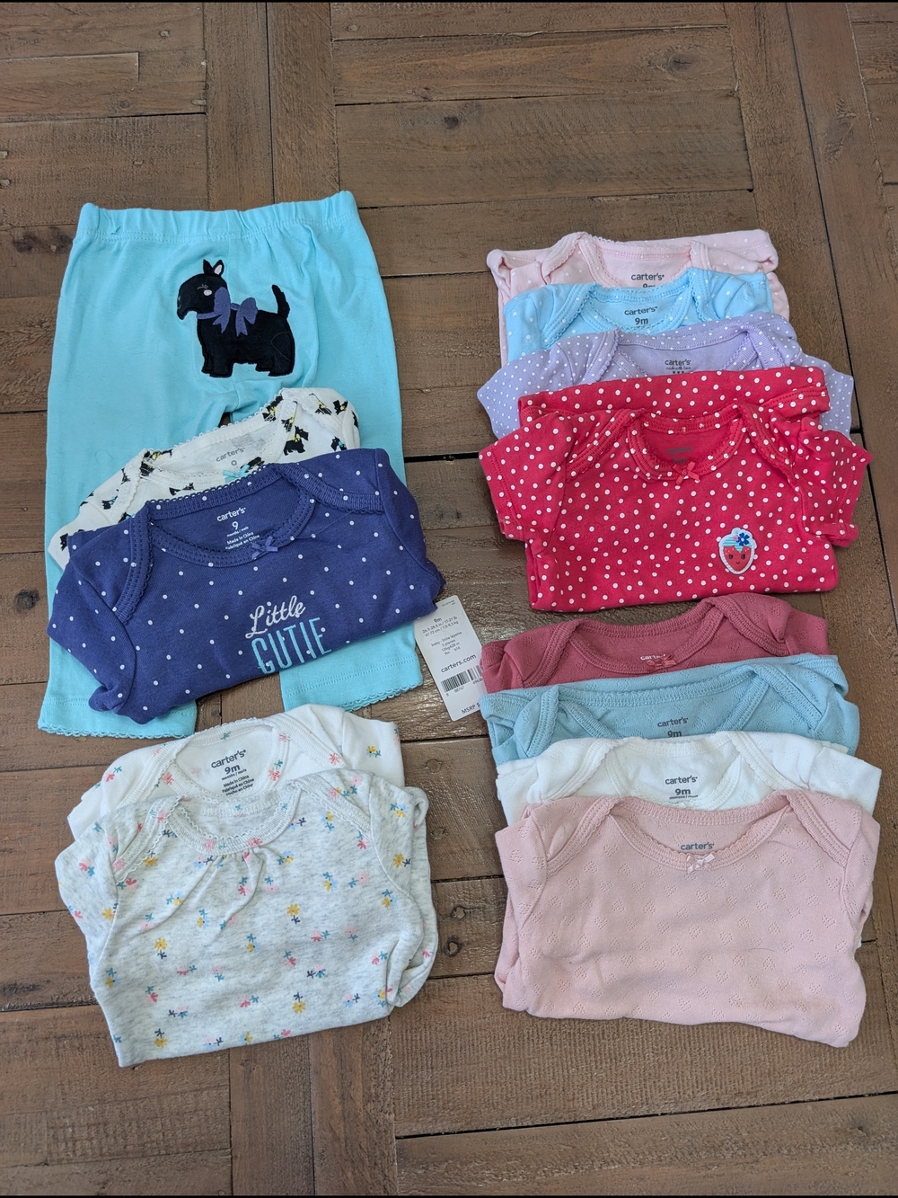 NWT And Nwot Carter's 9Mo Girls Onsie Bundle